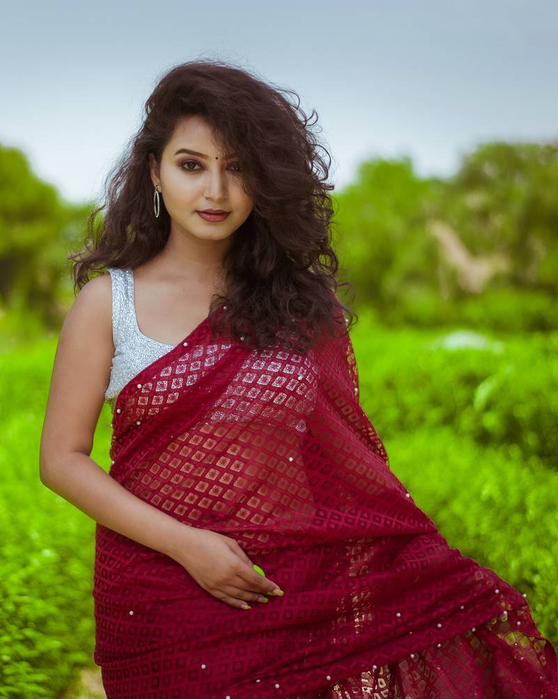 Women Jacquard  Net Saree marron