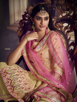 Beige embroidered organza salwar 2