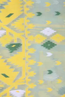 Light Green Hand Woven Pure Cotton Saree Without Blouse