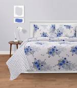 Swayam 144 TC Pure Cotton White and Coblat Blue Floral Printed Bed Sheet With 2 Matching Pillow Covers