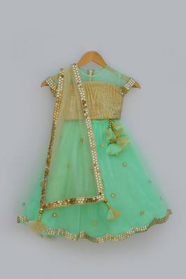 Glitter Choli with Lehenga 1