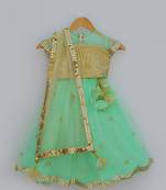 Glitter Choli with Lehenga