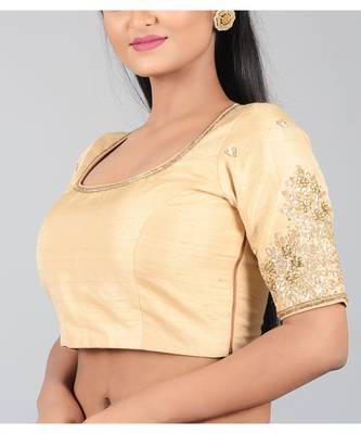 Beige Embroidered Designer Blouse 3