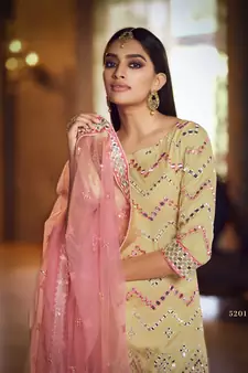 Beige Thread embroidered with foil mirror organza gharara suit