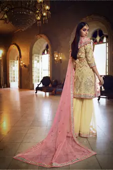Beige Thread embroidered with foil mirror organza gharara suit