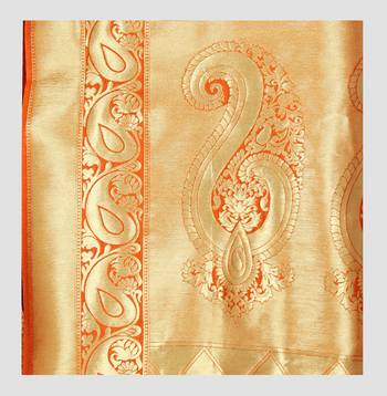 red woven silk saree with blouse 5