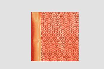 red woven  silk saree with blouse 5