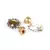 Sangeeta Boochra Silver Earrings