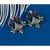 Sangeeta Boochra Silver Earrings