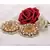 Sangeeta Boochra Silver Earrings With 24K Gold Plating
