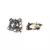 Sangeeta Boochra Silver Earrings