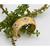 Sangeeta Boochra Silver Bangle With Gold Plating