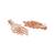 Sangeeta Boochra Silver Earrings
