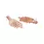 Sangeeta Boochra Silver Earrings