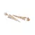 Sangeeta Boochra Silver Earrings With Gold Plating
