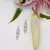 Sangeeta Boochra Silver Earrings