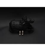 Sangeeta Boochra Silver Earrings