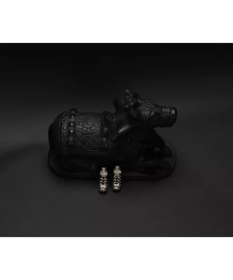 Sangeeta Boochra Silver Earrings