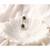 Sangeeta Boochra Silver Earrings