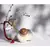 Sangeeta Boochra Silver Necklace