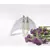 Sangeeta Boochra Silver Earrings