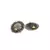 Sangeeta Boochra Silver Earrings