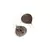 Sangeeta Boochra Silver Earrings
