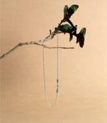 Sangeeta Boochra Silver Necklace