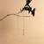Sangeeta Boochra Silver Necklace