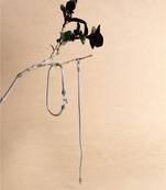 Sangeeta Boochra Silver Anklets