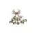 Sangeeta Boochra Silver Hand Harness