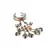 Sangeeta Boochra Silver Hand Harness