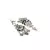 Sangeeta Boochra Silver Earrings