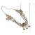 Sangeeta Boochra Silver Necklace