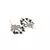 Sangeeta Boochra Silver Earrings