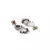 Sangeeta Boochra Silver Earrings
