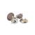 Sangeeta Boochra Silver Earrings