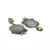 Sangeeta Boochra Silver Earrings
