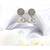 Sangeeta Boochra Silver Earrings