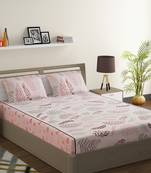 100% Cotton 144 TC Floral Double Bed Sheet with 2 Pillow Covers  Pink Off White