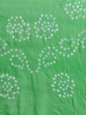 Geroo Jaipur Green printed chiffon saree with blouse 3