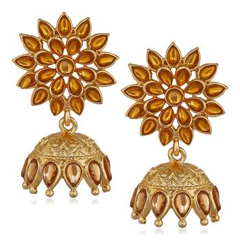 Brown earrings 1