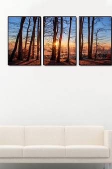 999Store    Brown wood home_decor paintings