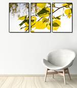 999Store    White wood home_decor paintings