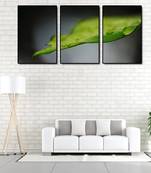 999Store    Black wood home_decor paintings
