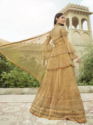 Gold embroidered net salwar 2