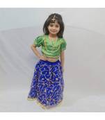 Brocade and net designer Lehenga Choli