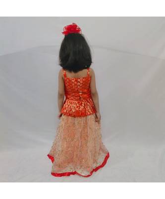 Brocade and net designer Lehenga Choli 2