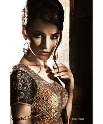 lehanga style saree  embroidered insertion in lehanga saree with sequin textured border 2