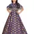Kids Blue Festival Wear Gown Dress 